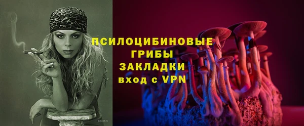мдпв Арсеньев