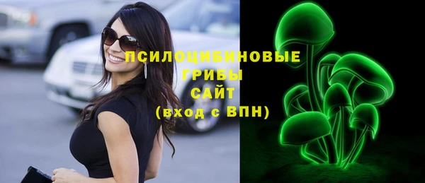 прущая мука Аркадак