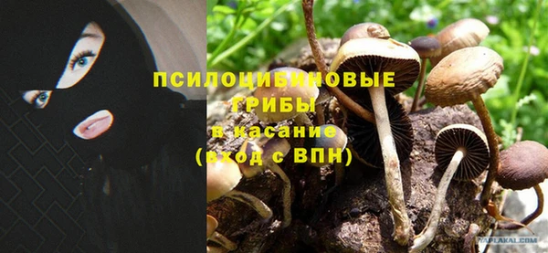 каннабис Армянск