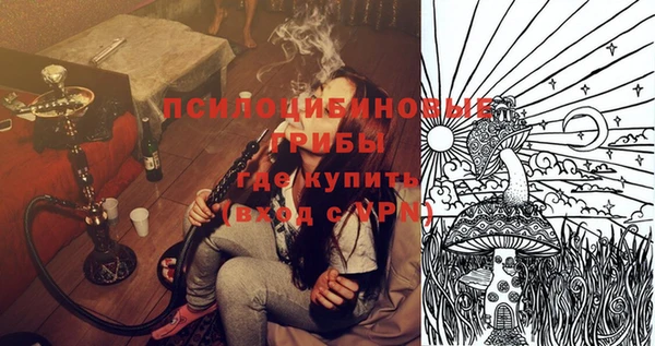 дживик Семикаракорск