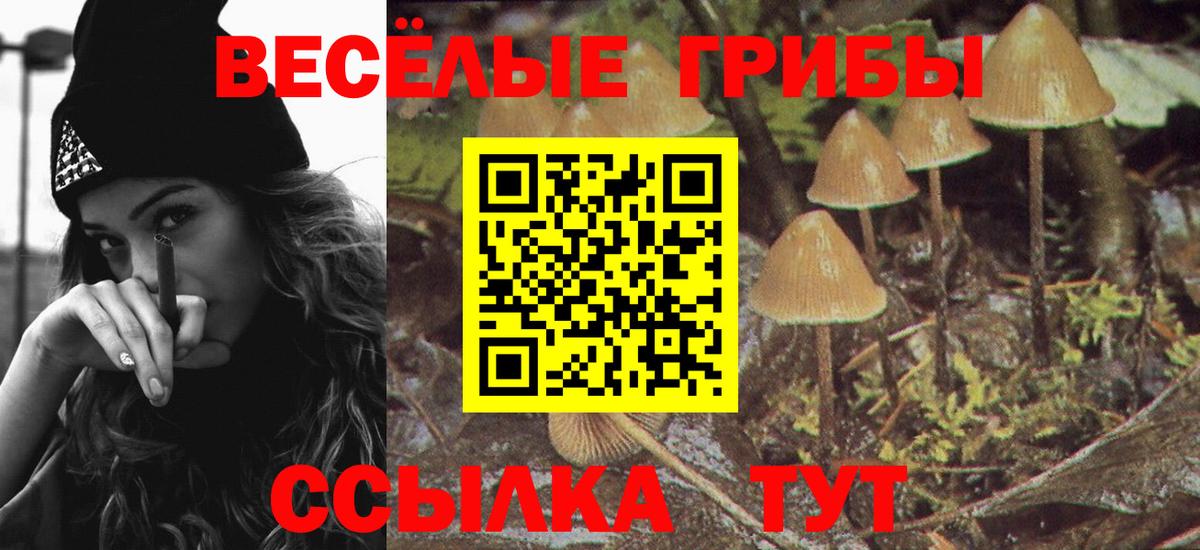 Галлюциногенные грибы Psilocybe Усть-Илимск