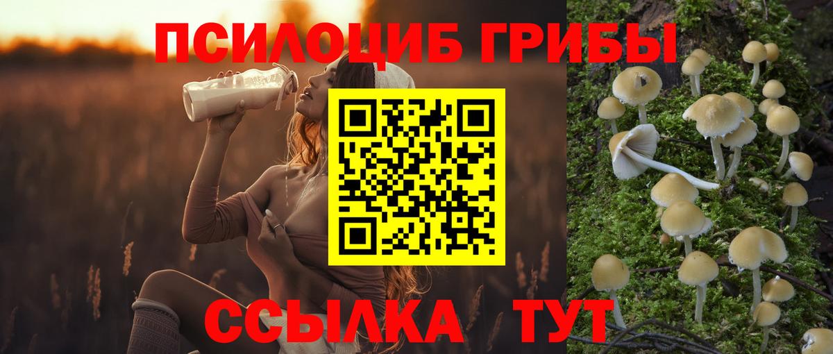 Псилоцибиновые грибы ЛСД  Вход с VPN  Усть-Илимск 